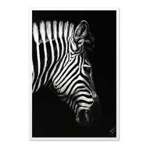 Obraz zebra 63x93cm