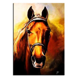 Obraz koń 50x70cm