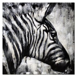 Obraz zebra 90x90cm