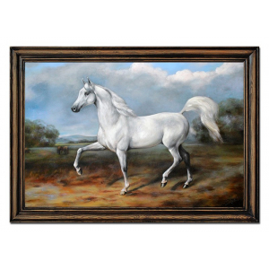 Obraz koń 75x105cm